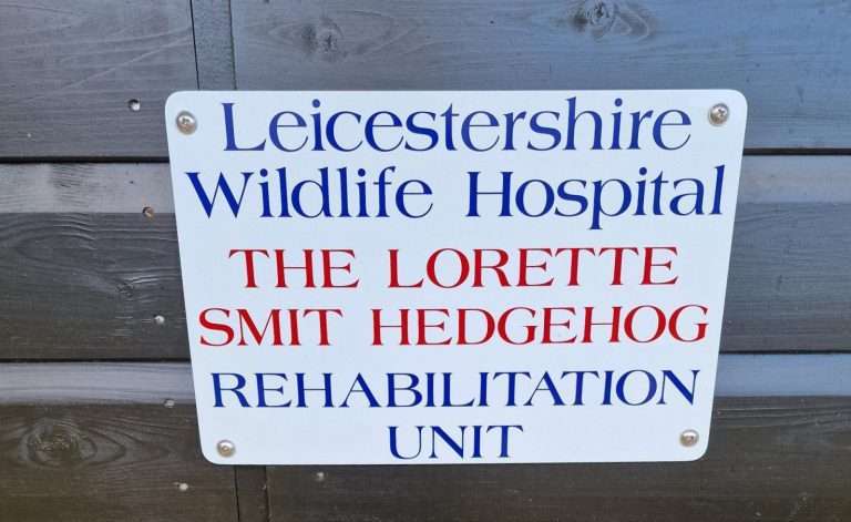 Leicestershire Wildlife Hospital, The Lorette Smit Hedgehog Rehabilitation Unit