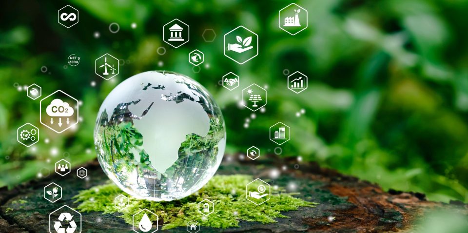 Glass,Globe,In,Green,Forest,With,The,Icon,Environment,Of